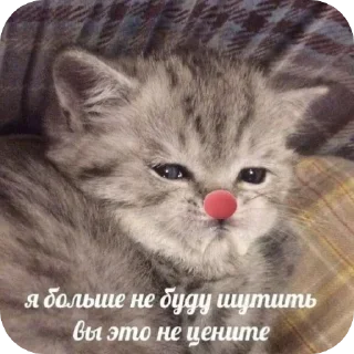 Telegram sticker 🤡 Больше стиков тут: @stikery4