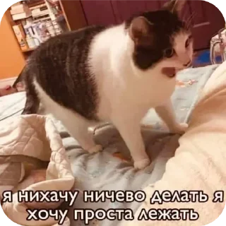 Telegram sticker 😿 Больше стиков тут: @stikery4