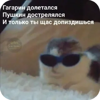 Video sticker 😎 Больше стиков тут: @stikery4