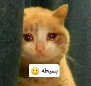 Telegram sticker 😿 ملصقات حور العين @uu27u