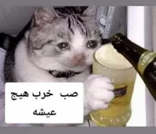 Video sticker 🃏 ملصقات حور العين @uu27u