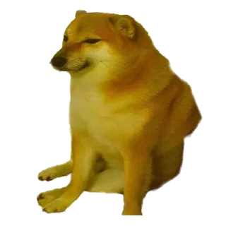 Sticker 🐕 ᯓ ˹ @LAAA2 ˼  ˹ @SSVFF ˼ 🐕