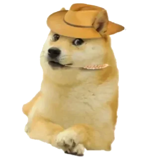 Video sticker 🐕 ᯓ ˹ @LAAA2 ˼  ˹ @SSVFF ˼ 🐕