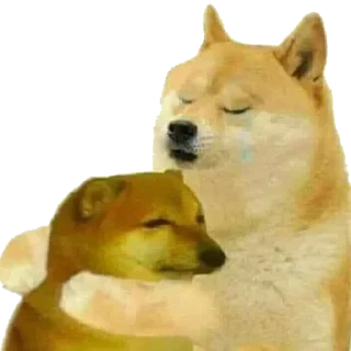 Telegram sticker 🐕 ᯓ ˹ @LAAA2 ˼  ˹ @SSVFF ˼ 🐕