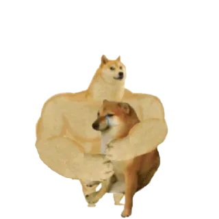 Telegram sticker 🐕 ᯓ ˹ @LAAA2 ˼  ˹ @SSVFF ˼ 🐕
