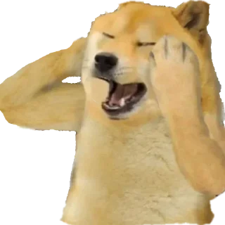 Telegram sticker 🐕 ᯓ ˹ @LAAA2 ˼  ˹ @SSVFF ˼ 🐕