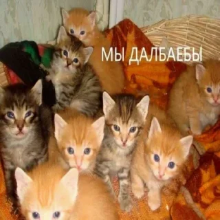 Telegram sticker 😁 Zero Stickers