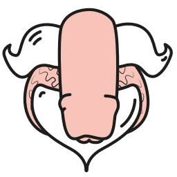 Sticker 🥸 Sexy ➜ @UrEmoji