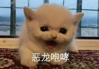 Telegram sticker 😾 @qiyuanshouji 的私藏 (1)