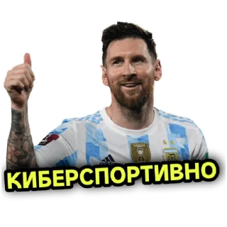 Video sticker 👍 Дец вассап, песер