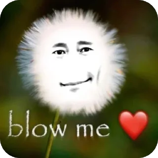 Telegram sticker 🫥 wpn’s cats