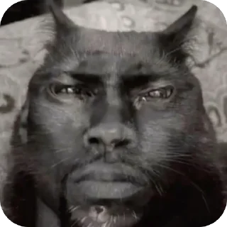 Sticker 🫥 wpn’s cats