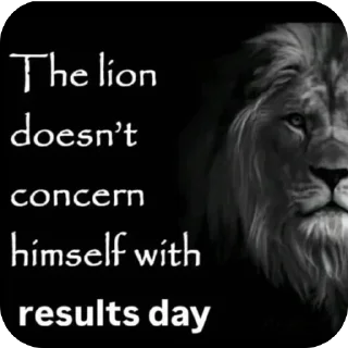 Video sticker 🫥 wpn’s cats