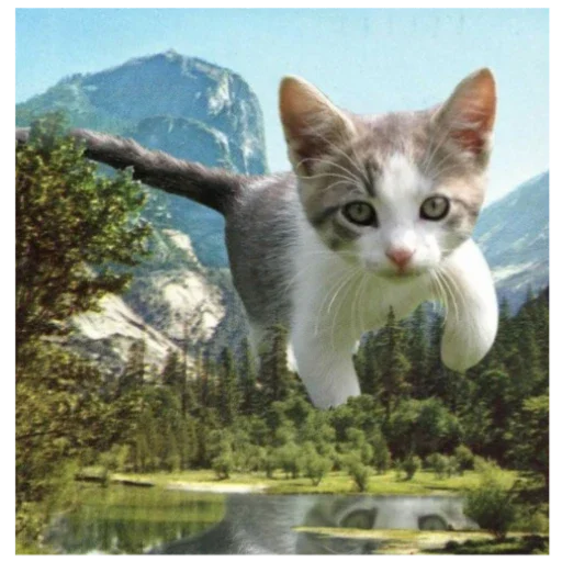 Sticker 🏞️ Мемямяммямы вассика