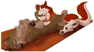 Video sticker 😍 Feral yiff — @stckrRobot