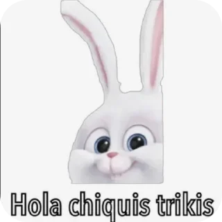 Telegram stiker 🐱 Aylins_stikrs