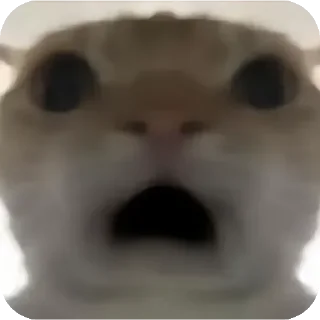 Телеграм стикер 😦 鼠鼠表情包@skynb9