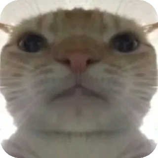 Телеграм стикер 😐 鼠鼠表情包@skynb9