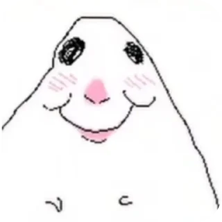 Video sticker 👍 хомяк строго