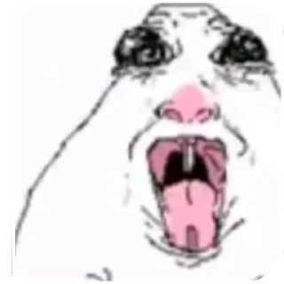 Telegram sticker 👍 хомяк строго