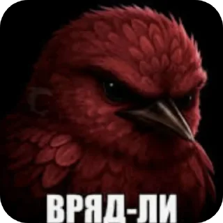 Telegram sticker 🐦 Серьëзные птицы
