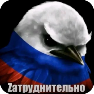 Video sticker 🎩 Серьëзные птицы