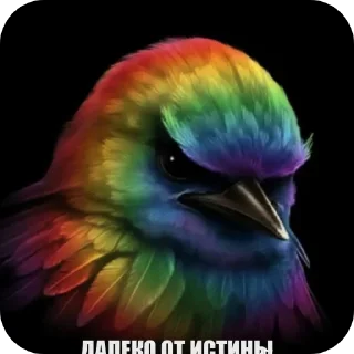 Telegram sticker 🐦 Серьëзные птицы