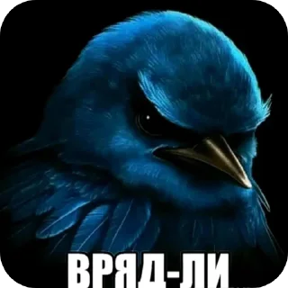 Telegram sticker 🐦 Серьëзные птицы