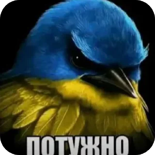 Sticker 🐦 Серьëзные птицы