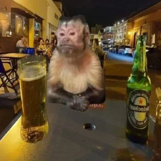 Телеграм стикер 😐 Capitão Calanguinho