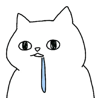 Video sticker 💬 지구제일 하찮내옹이 By @KakaoEmoticon