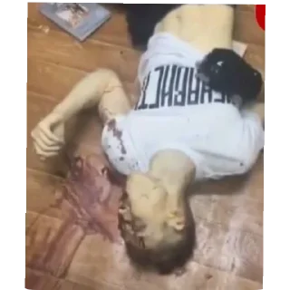 Video sticker 👍 Gotinha