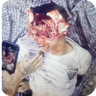 Video sticker 🍖 Gotinha