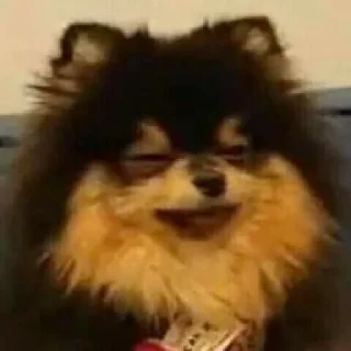 Sticker 😑 MOOD DOGS | @HOLYPULPFICTION