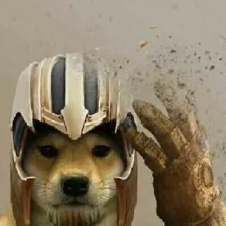 Telegram sticker 💪 MOOD DOGS | @HOLYPULPFICTION