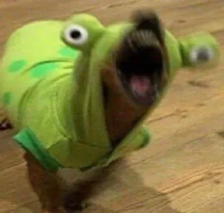 Telegram sticker 😱 MOOD DOGS | @HOLYPULPFICTION