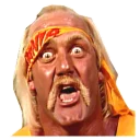 Video sticker 😱 Hulk Hogan