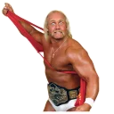 Telegram sticker 😠 Hulk Hogan