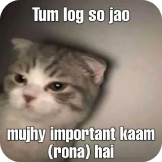 Video sticker 🐱 San-G ke brainrots