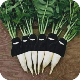 Video sticker 🥦 San-G ke brainrots