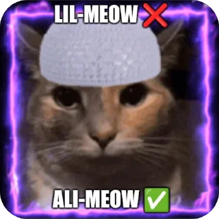 Telegram sticker 🐱 San-G ke brainrots