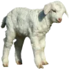 Sticker 🐑 @aestheticaemoji