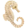 Video sticker 🦐 @aestheticaemoji