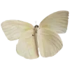 Video sticker 🦋 @aestheticaemoji