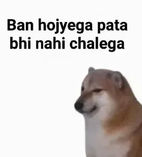 Telegram sticker 🪄 ᴺᵒᵇⁱᵗᵃ ᵏ (static) (@im_bakabot)