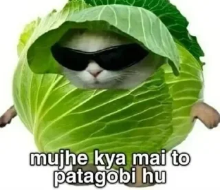 Sticker 👀 ᴺᵒᵇⁱᵗᵃ ᵏ (static) (@im_bakabot)