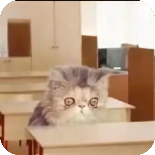 Telegram sticker 🫥 Изъял хату