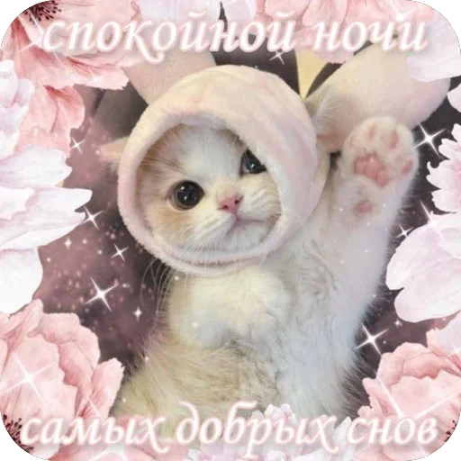 Telegram sticker 🫥 Изъял хату