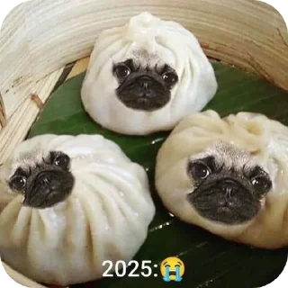 Telegram sticker 🐶 Мопсеке