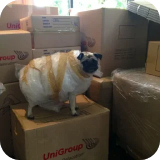 Telegram sticker 🛋 Мопсеке